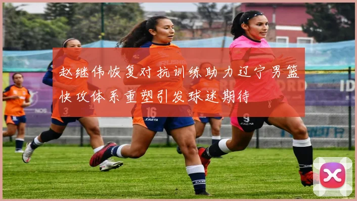 赵继伟恢复对抗训练助力辽宁男篮快攻体系重塑引发球迷期待